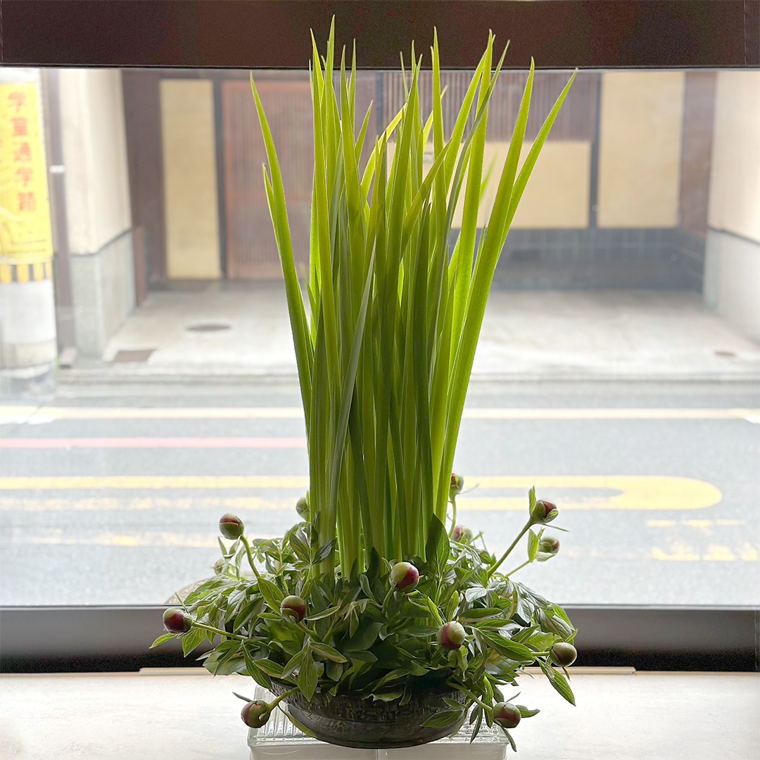 Generic placeholder image