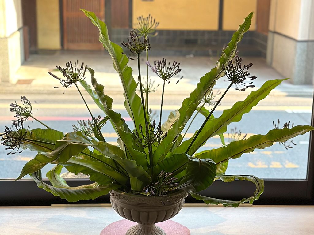 Generic placeholder image